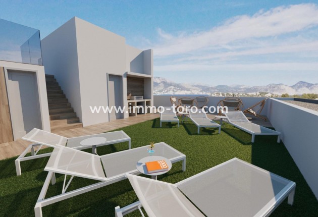 New Build - Apartment - Torrevieja - Playa De Los Locos