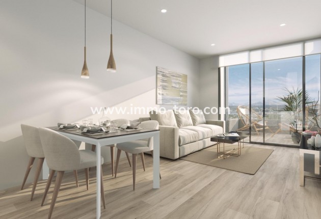 New Build - Penthouse - Torrevieja - Playa De Los Locos