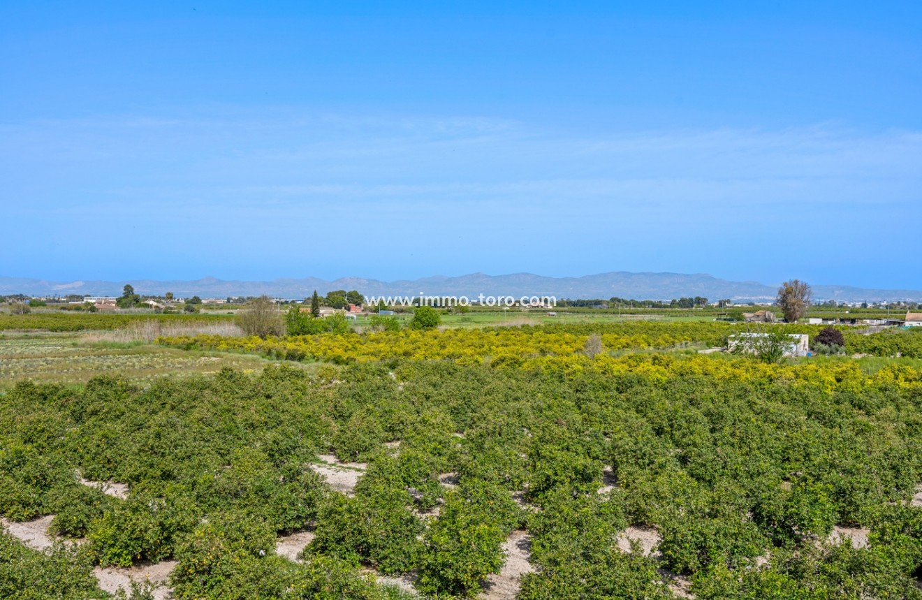 Venta - 1. Apartment / flat - Daya Nueva - Costa Blanca South