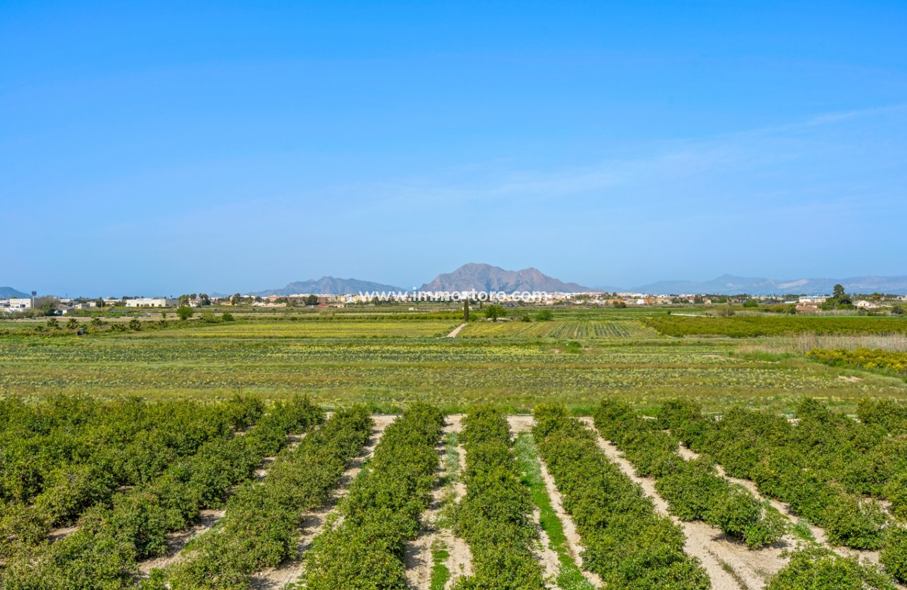 Venta - 1. Apartment / flat - Daya Nueva - Costa Blanca South