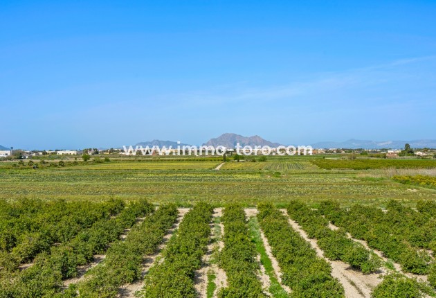 Venta - 1. Apartment / flat - Daya Nueva - Costa Blanca South