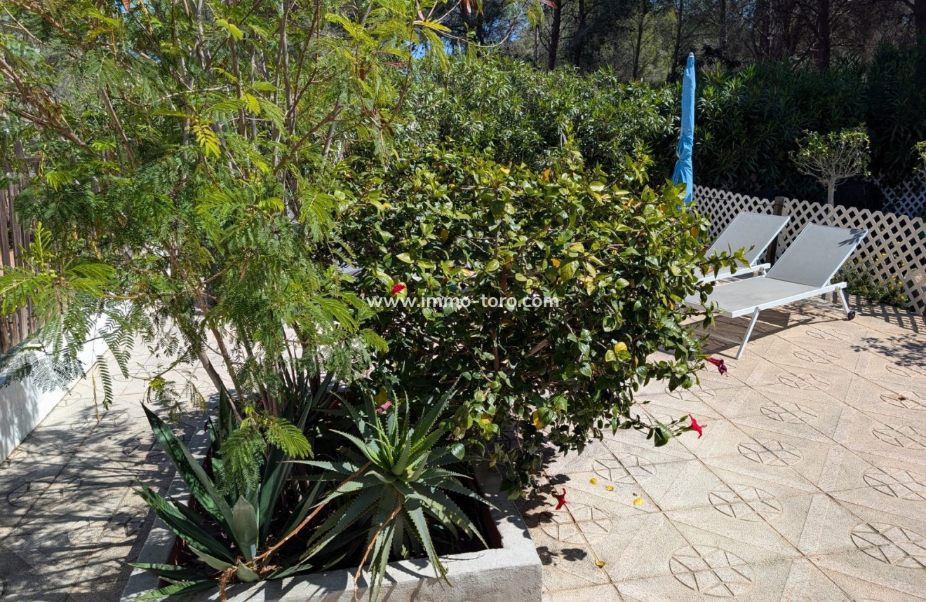 Resale - Detached house / Townhouse - Moraira - Fanadix