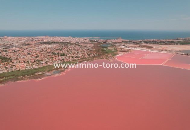 New Build - Apartment - Torrevieja