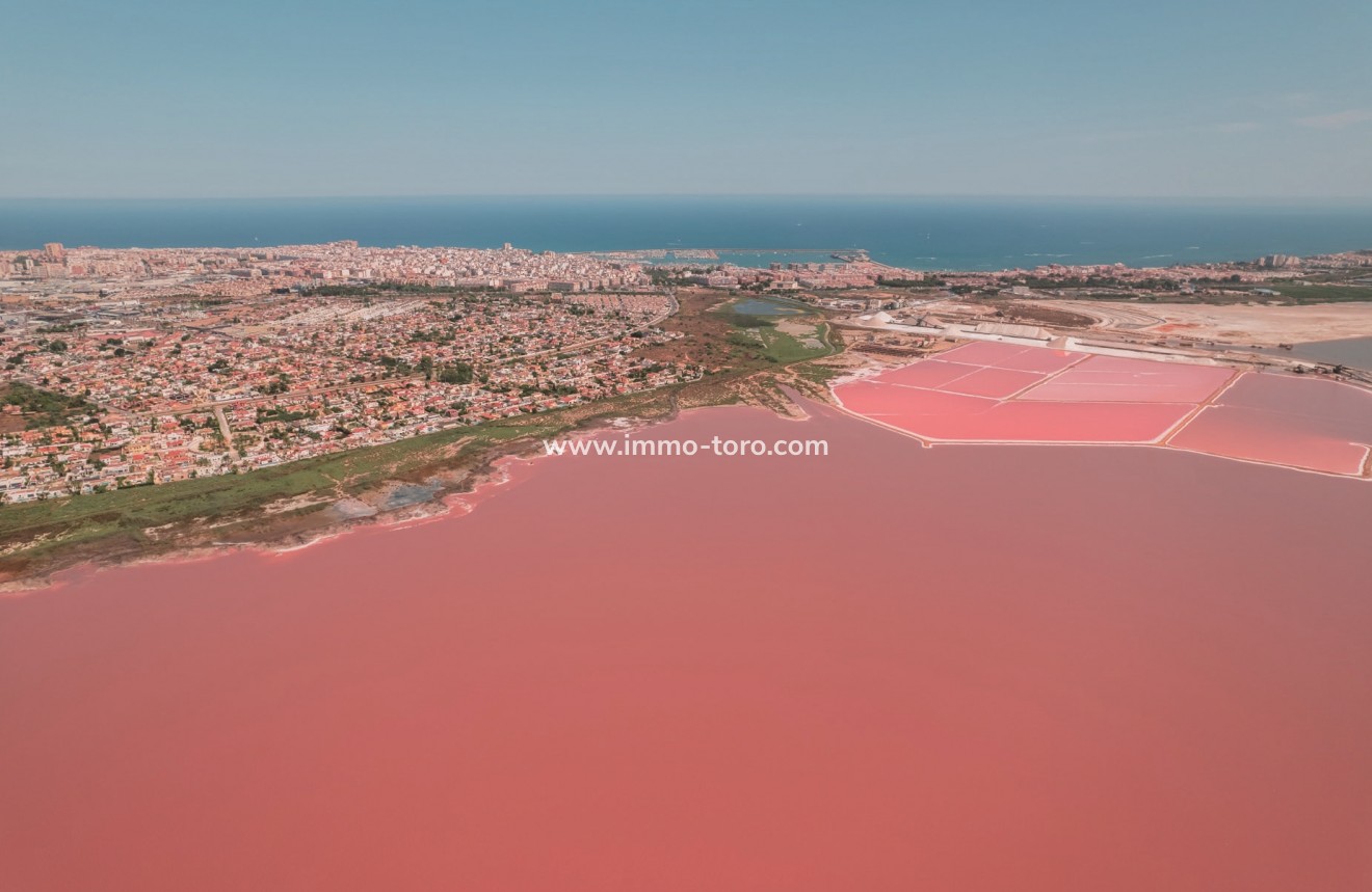 New Build - Apartment - Torrevieja