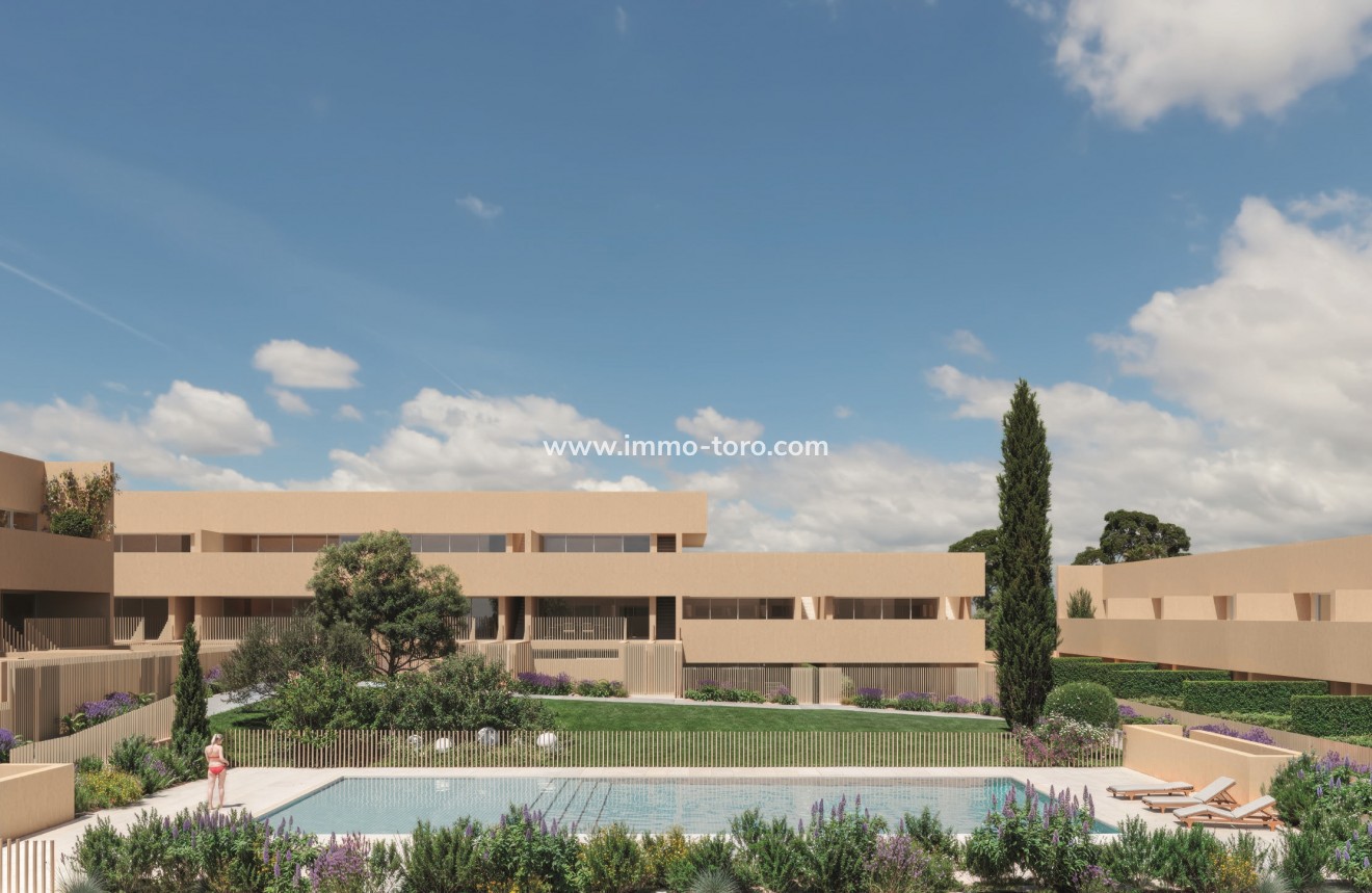 New Build - Apartment - Torrevieja