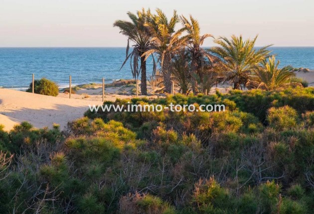 New Build - Penthouse - Guardamar - Avda del Puerto