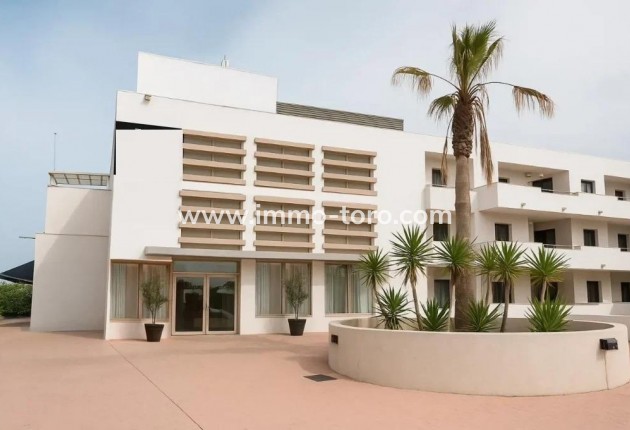 New Build - Penthouse - Vera - Puerto del Rey