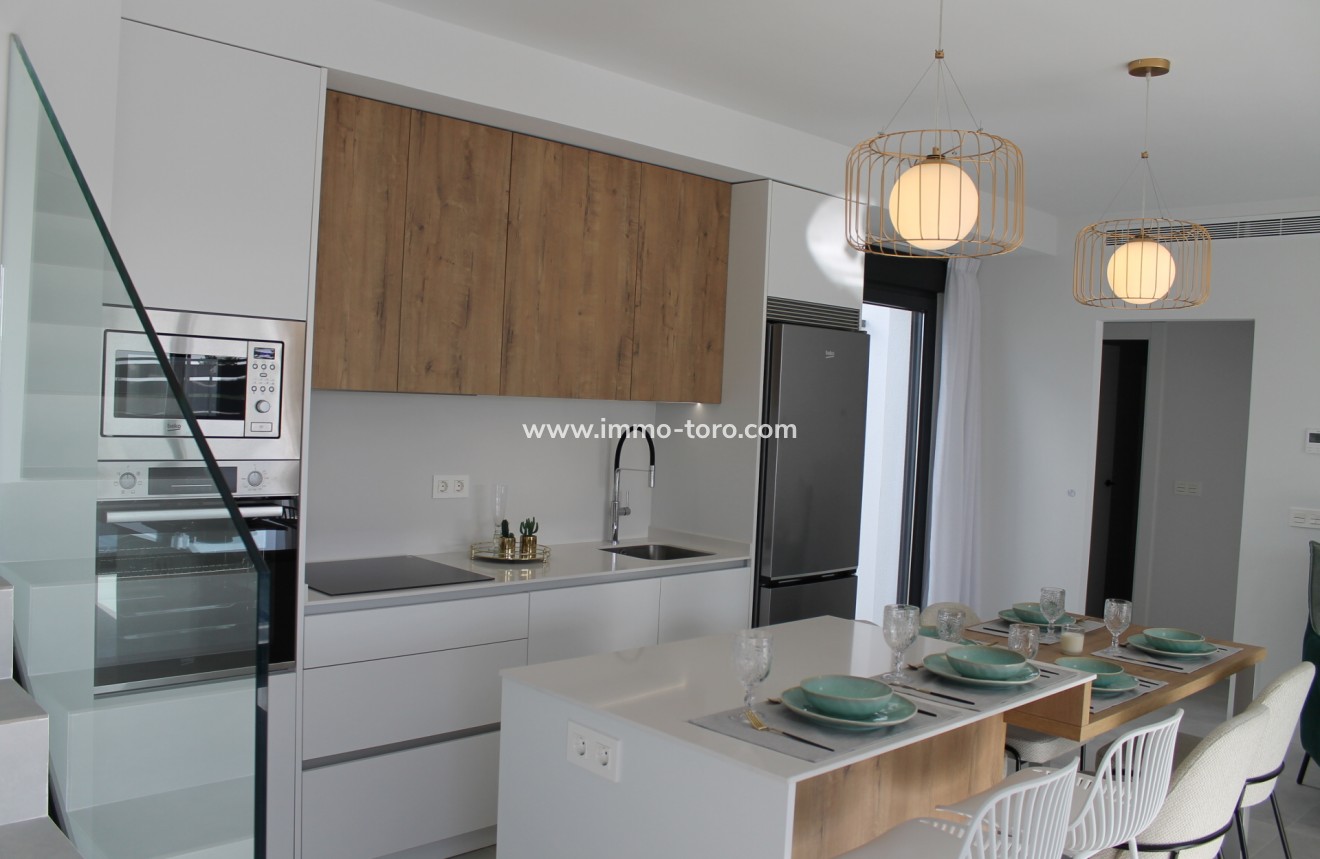 Nouvelle construction - Villa - Roldán