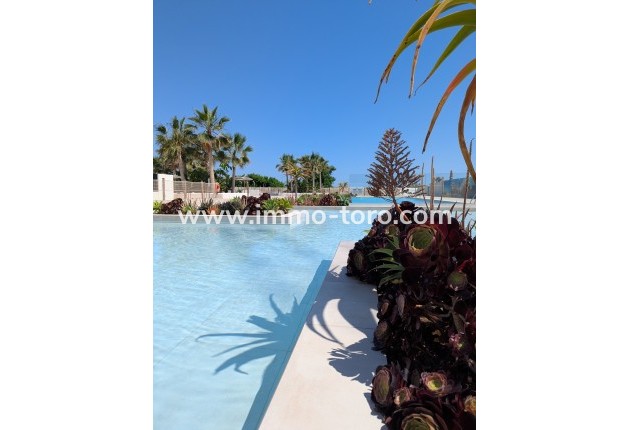 Nieuwbouw - Penthouse - Denia