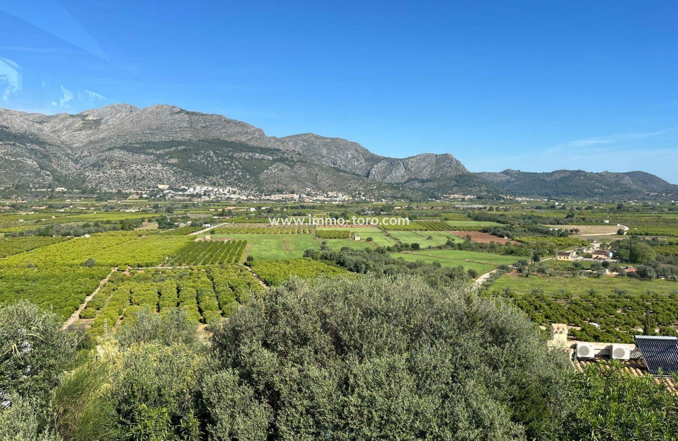 Revente - Villa - Orba