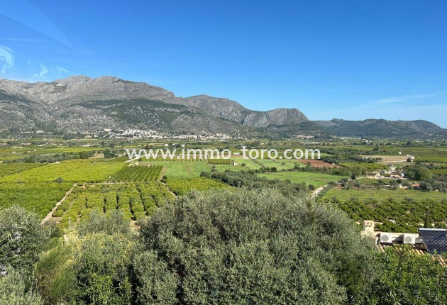 Revente - Villa - Orba