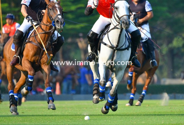 Nieuwbouw - Appartement  - Manilva - Bahia De Las Rocas