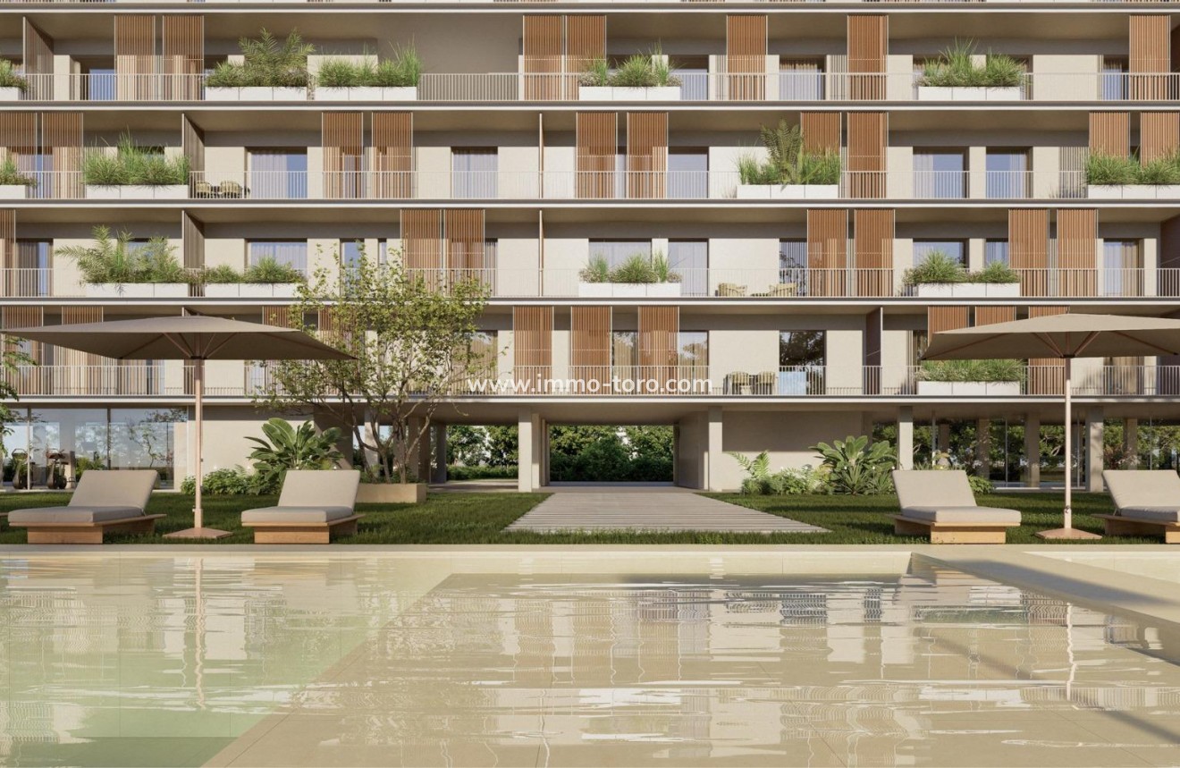 Nieuwbouw - Penthouse - Moncofa - Playa de Moncofa