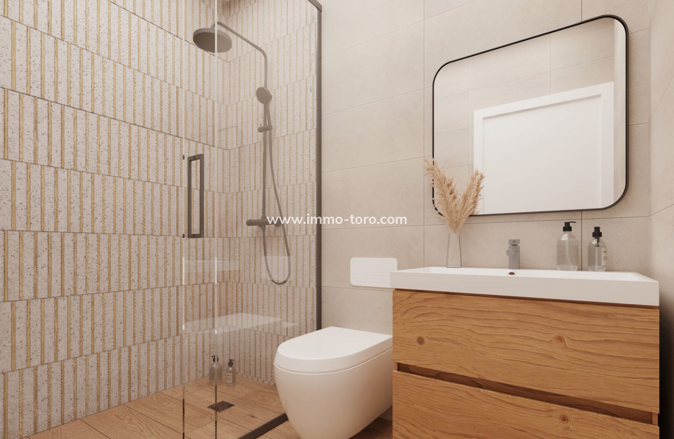 Nouvelle construction - Penthouse - Mutxamel