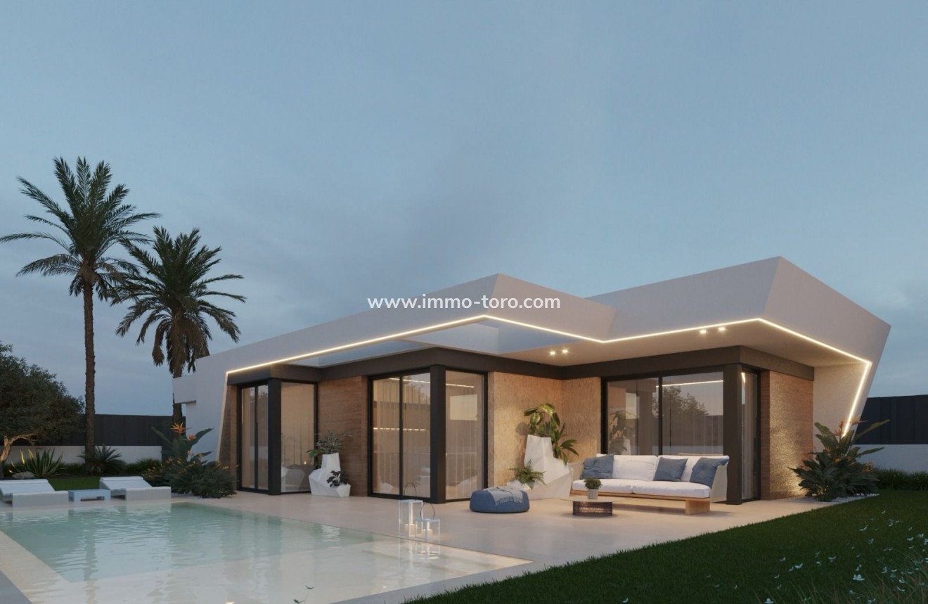 Nueva construcción  - Villa / Chalet - Molina De Segura - Molina de Segura