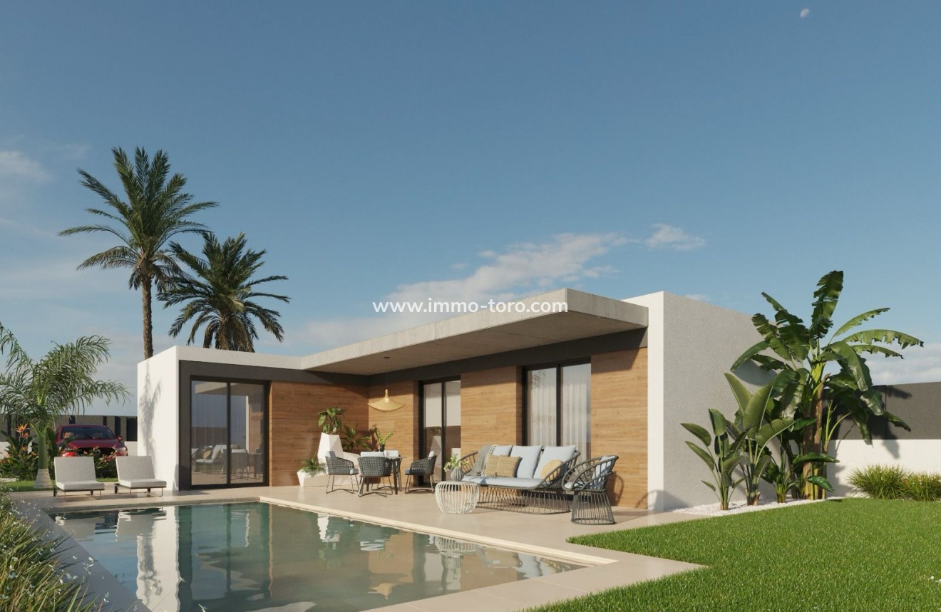 Nieuwbouw - Villa - Molina De Segura - Molina de Segura