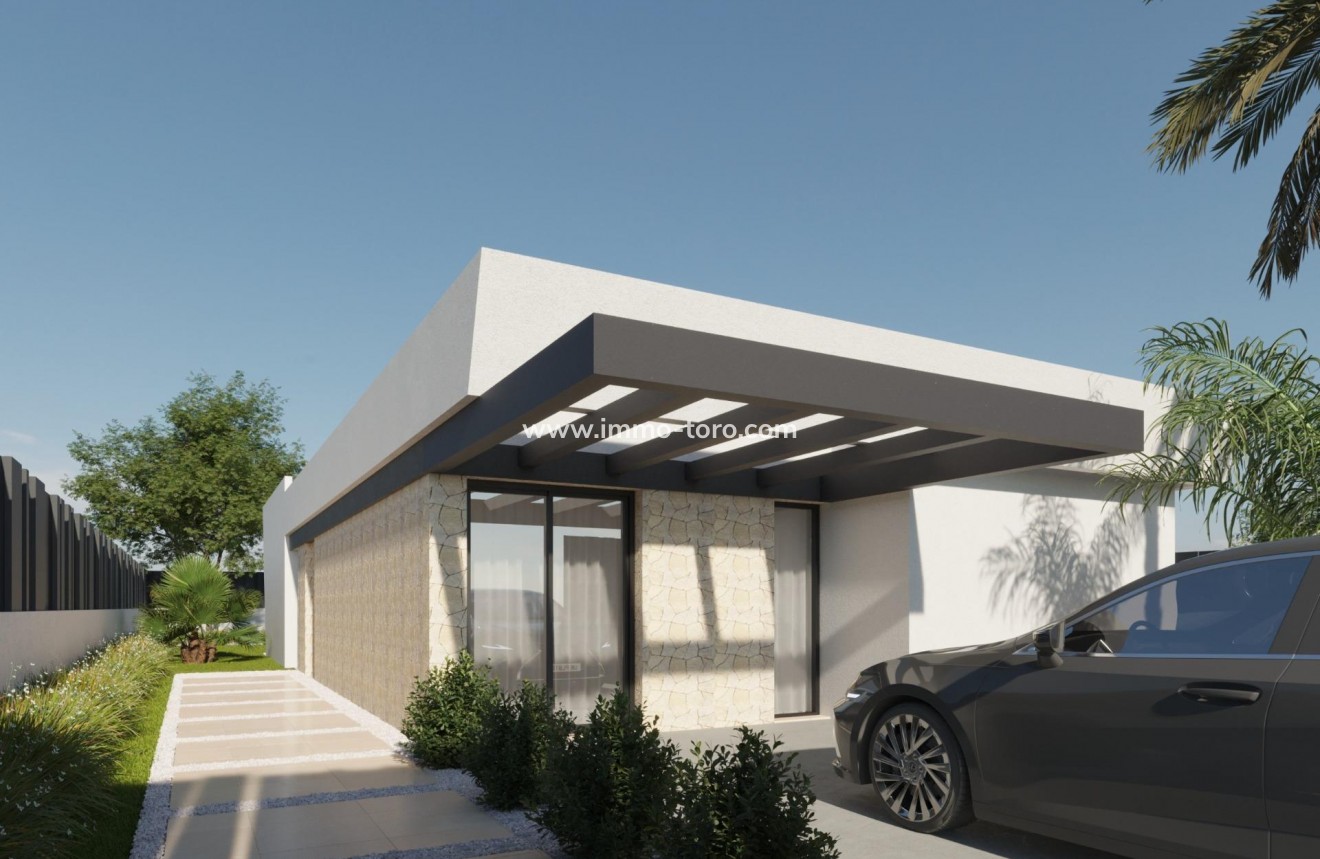 Nueva construcción  - Villa / Chalet - Molina De Segura - Urb. La Quinta