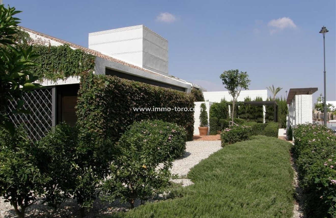 Nueva construcción  - Adosado - Peraleja Golf