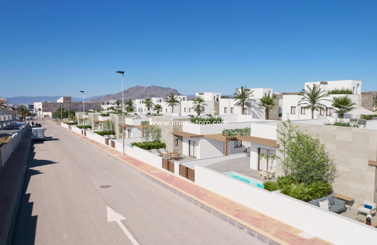 Nieuwbouw - Villa - Puerto de Mazarron - Caleñares