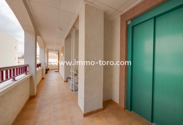 Nouvelle construction - Appartement - San Fulgencio