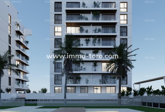 New Build - Apartment - Guardamar - Guardamar del Segura