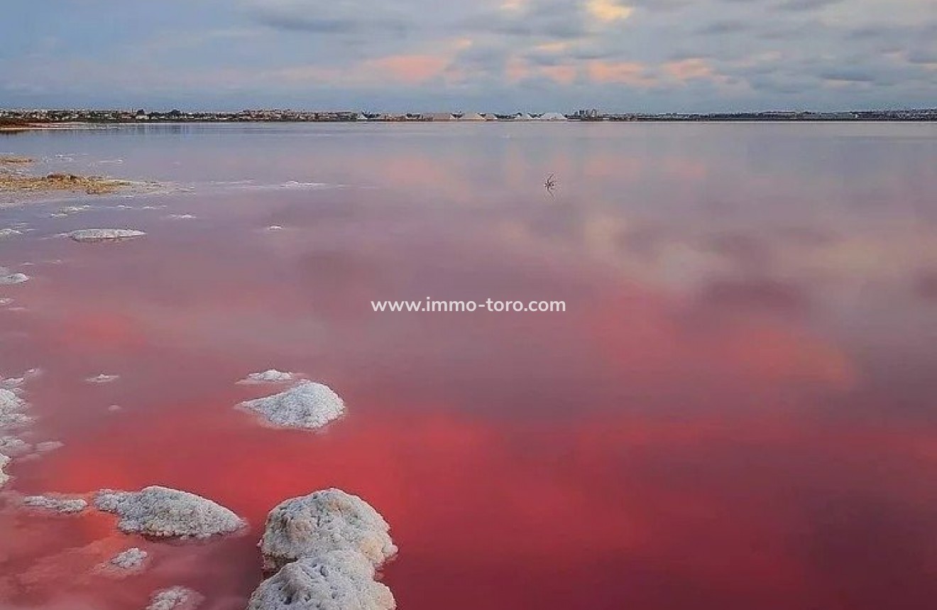 New Build - Apartment - Torrevieja - Lago Jardín II
