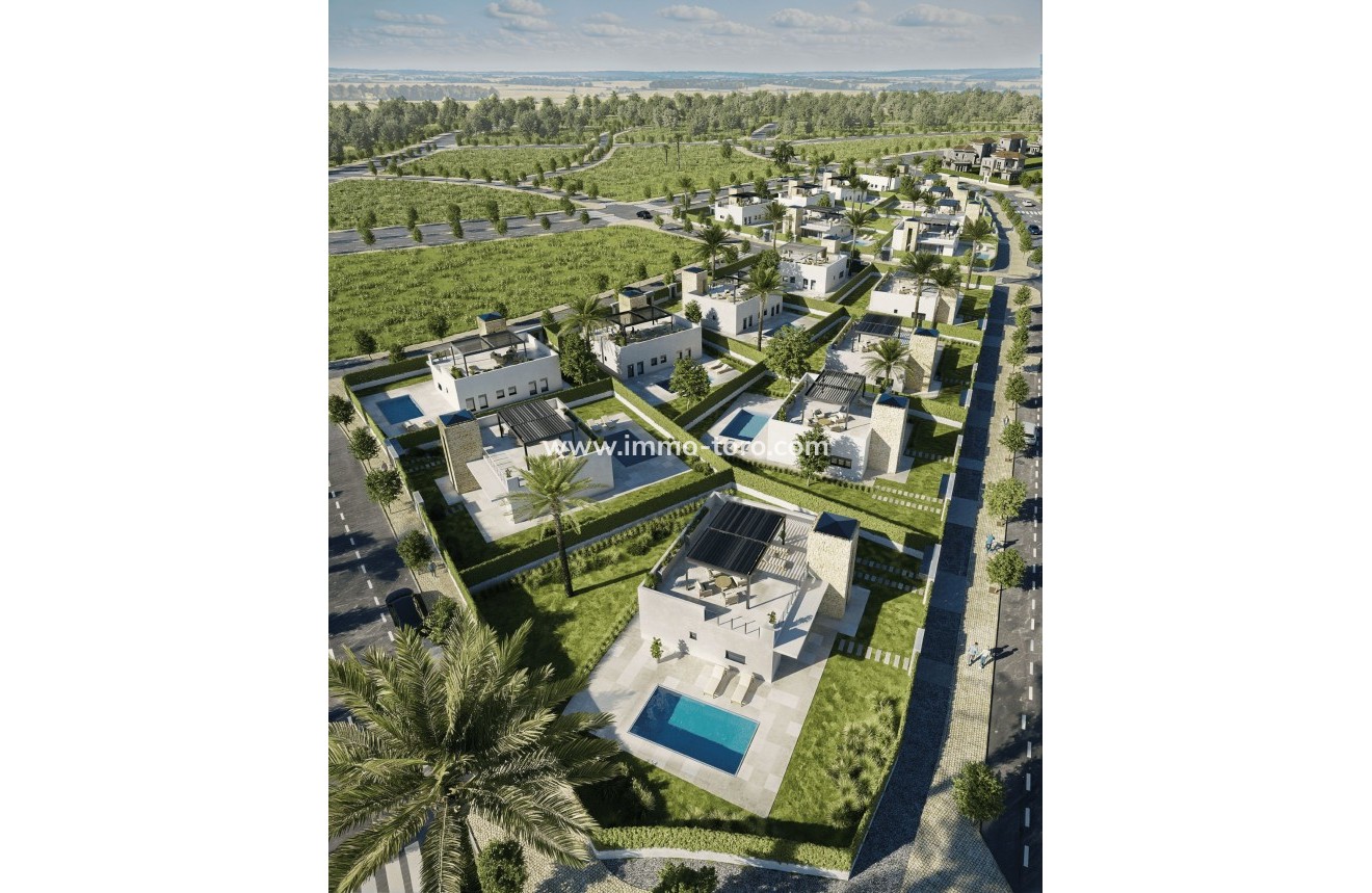 New Build - Villa - Purias