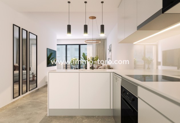 Nieuwbouw - Penthouse - Torrevieja