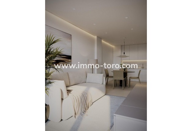 New Build - Penthouse - Guardamar - Pueblo