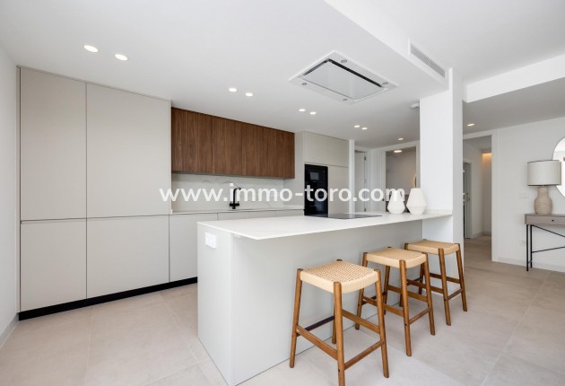 New Build - Villa - Mutxamel - Cotoveta
