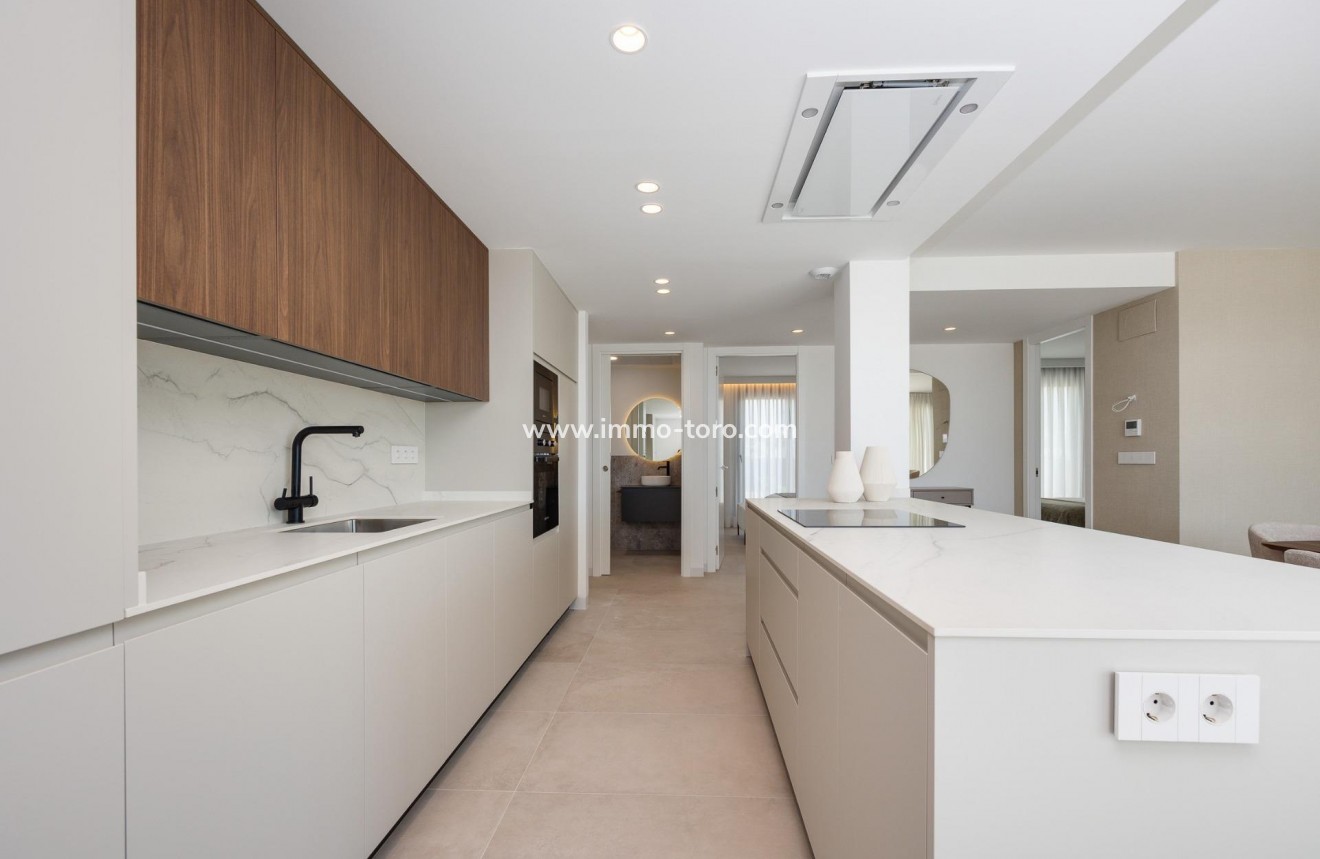 New Build - Villa - Mutxamel - Cotoveta