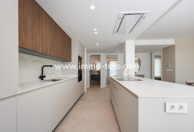 New Build - Villa - Mutxamel - Cotoveta
