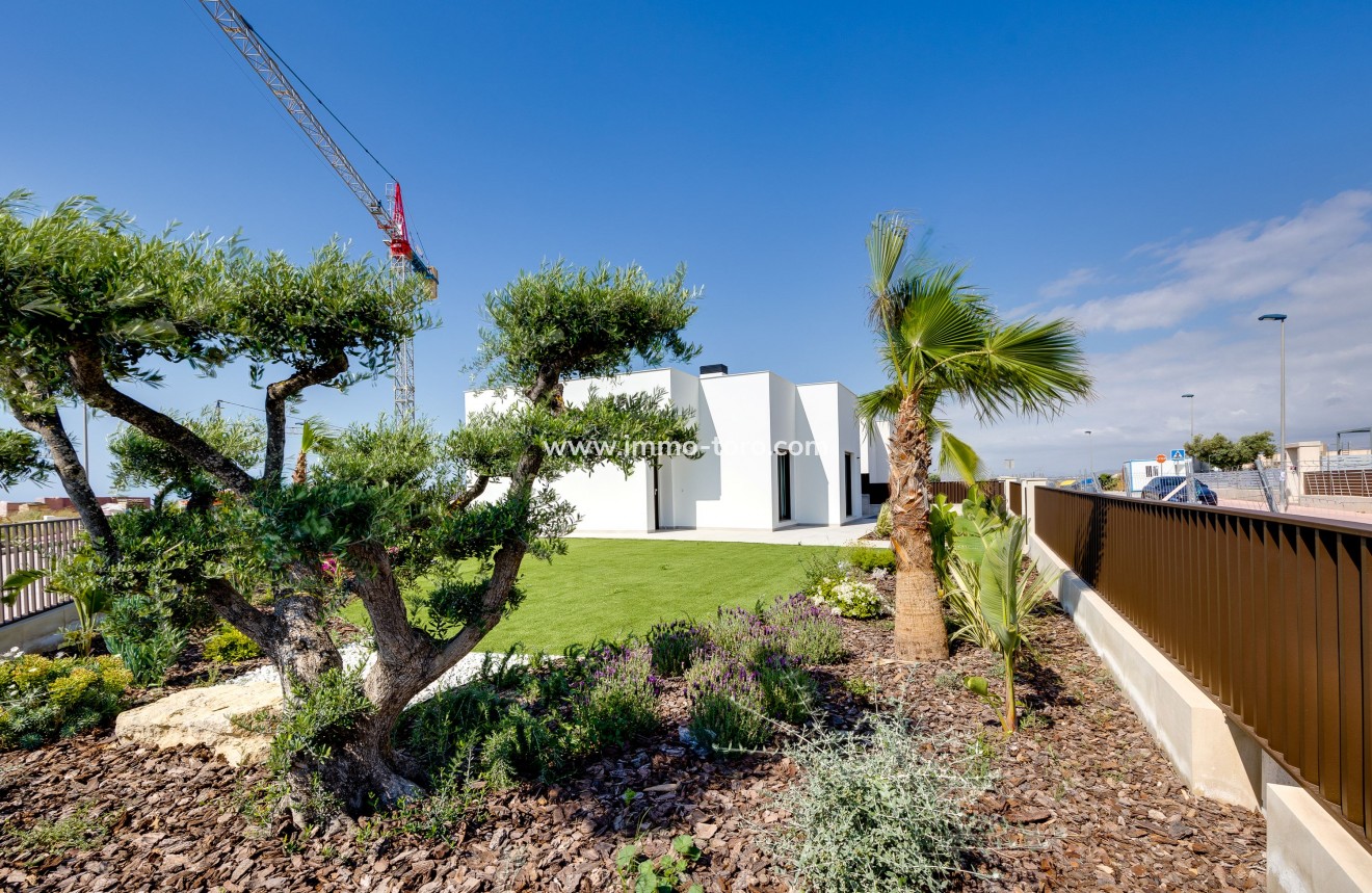 Nieuwbouw - Geschakelde woning - Mutxamel