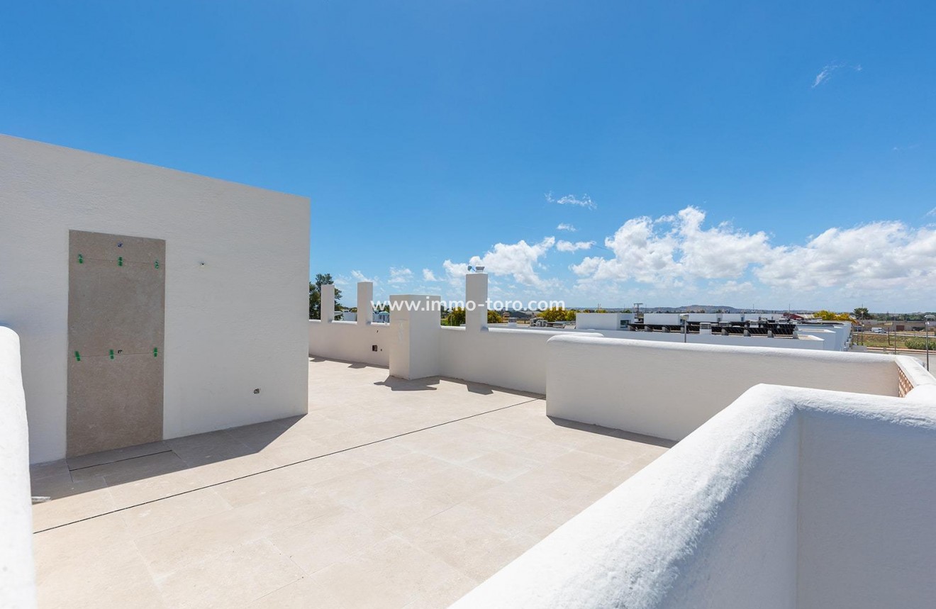 New Build - Apartment - Dolores - Sector 3