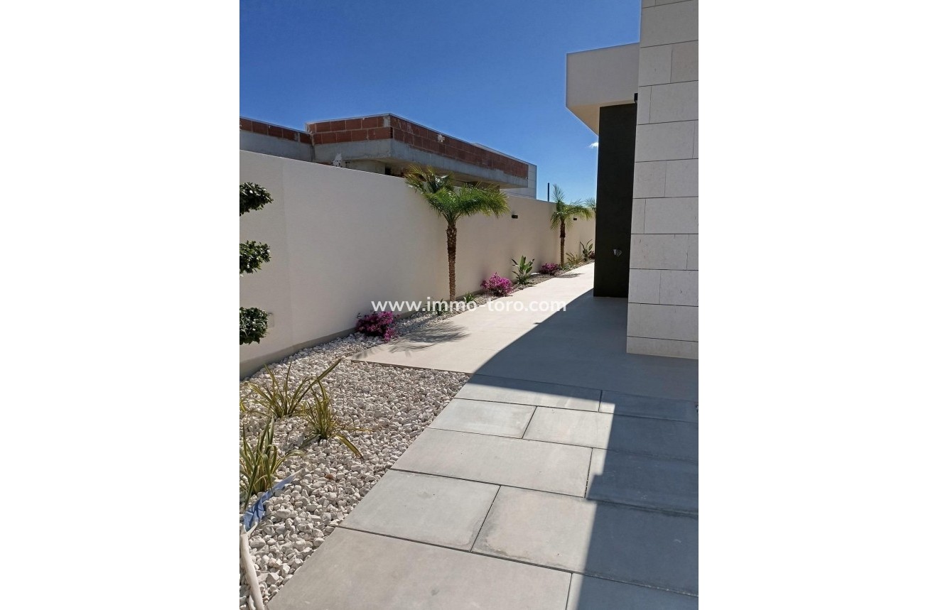 New Build - Villa - Pilar de la Horadada - Lo Romero Golf