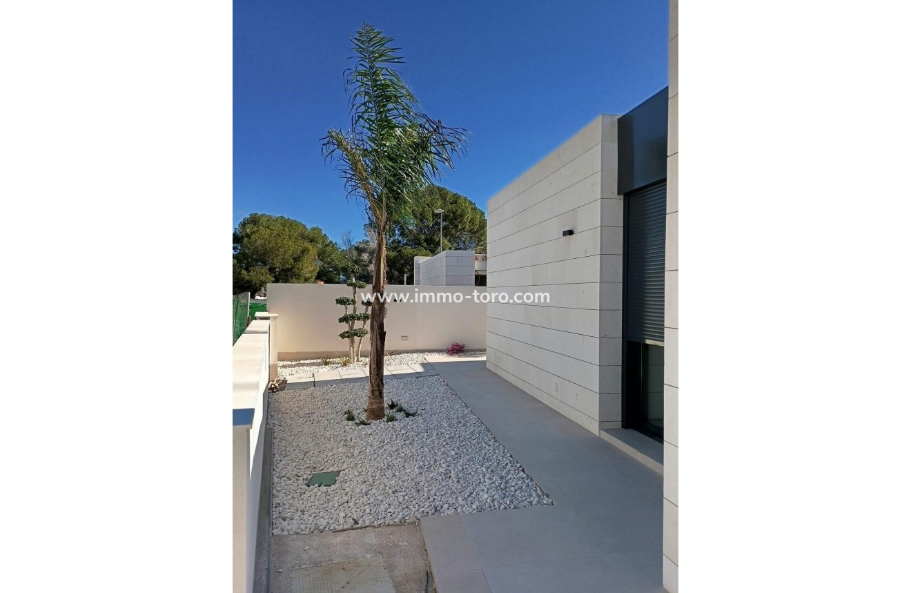 New Build - Villa - Pilar de la Horadada - Lo Romero Golf