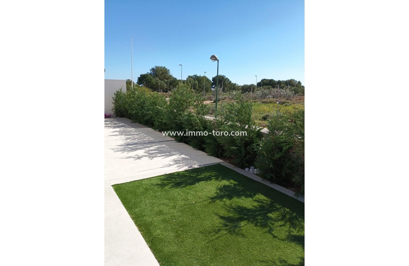New Build - Villa - Pilar de la Horadada - Lo Romero Golf
