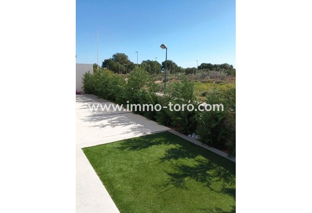 New Build - Villa - Pilar de la Horadada - Lo Romero Golf