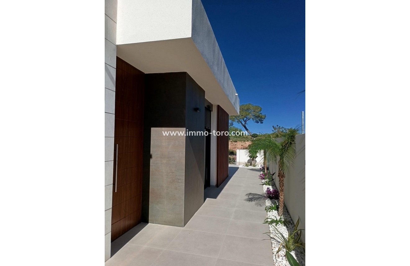New Build - Villa - Pilar de la Horadada - Lo Romero Golf