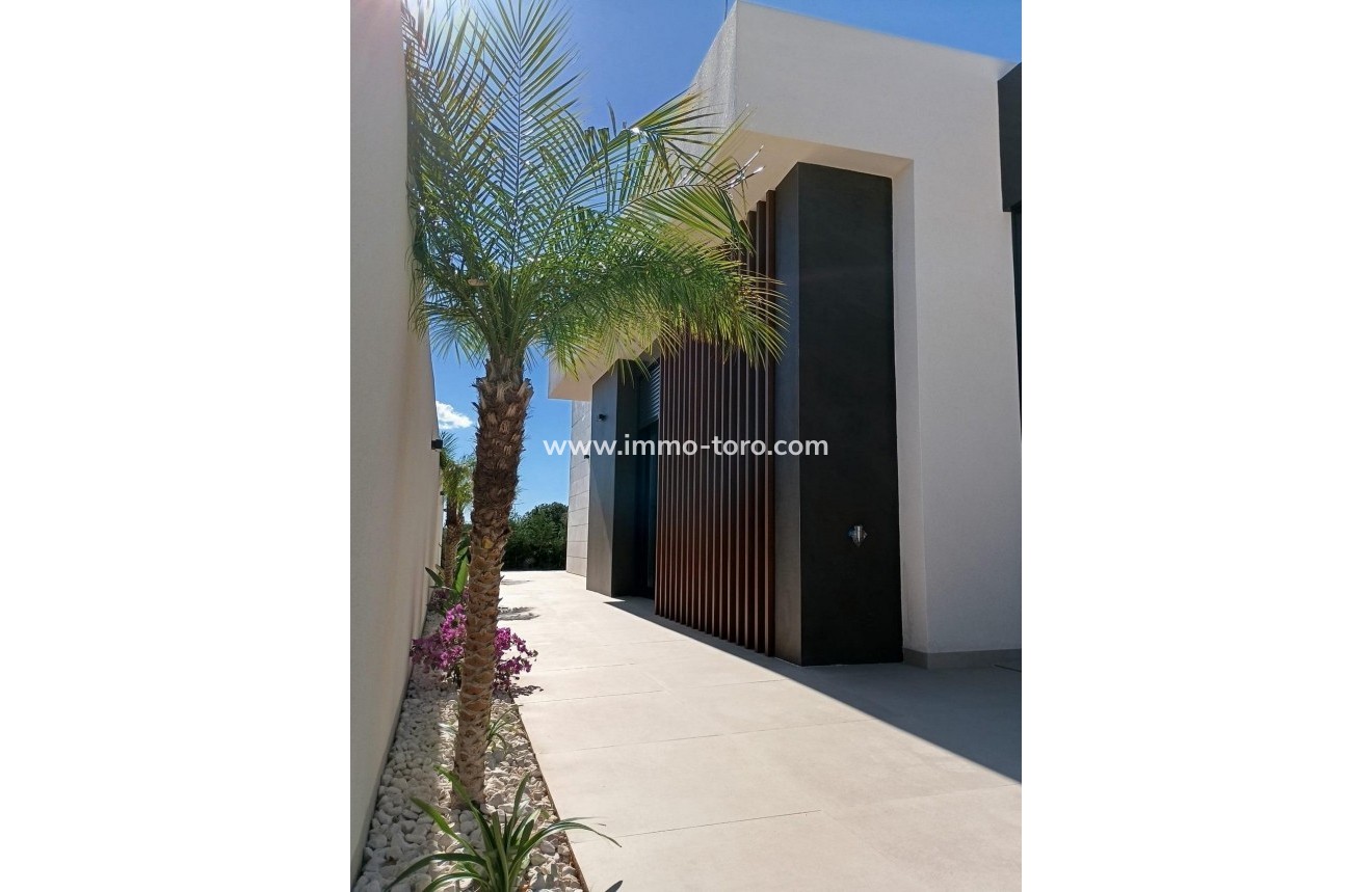 New Build - Villa - Pilar de la Horadada - Lo Romero Golf