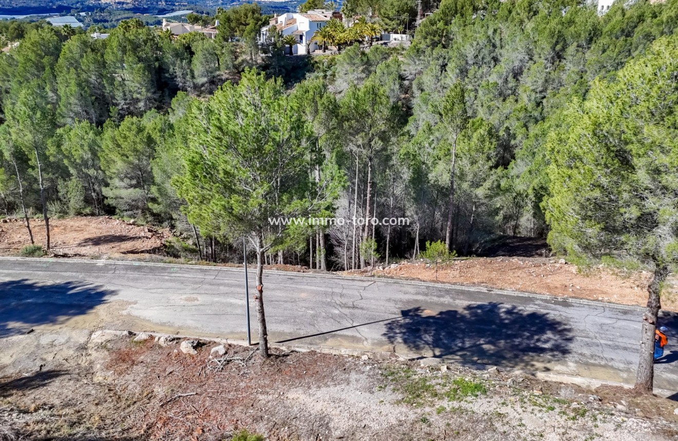 Resale - Plot - Callosa d'en Sarrià - Santa clara