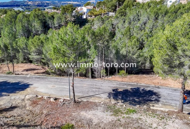 Resale - Plot - Callosa d'en Sarrià - Santa clara