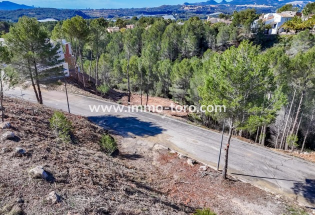 Resale - Plot - Callosa d'en Sarrià - Santa clara