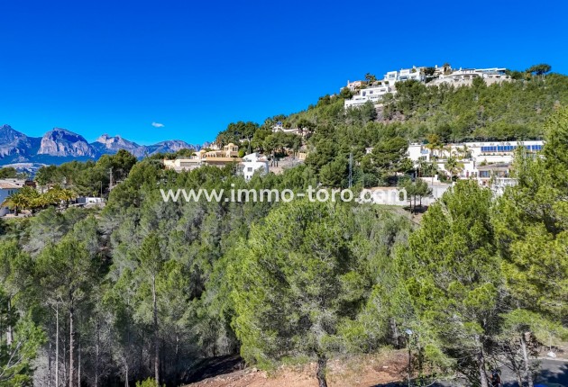 Resale - Plot - Callosa d'en Sarrià - Santa clara