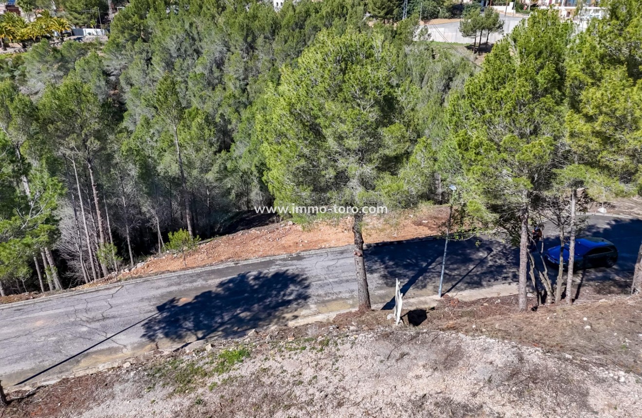 Resale - Plot - Callosa d'en Sarrià - Santa clara