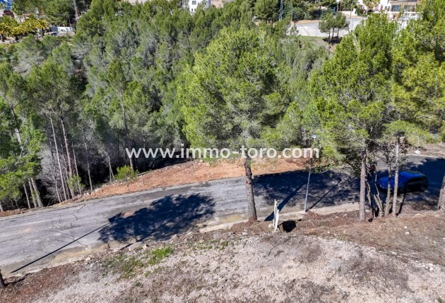 Resale - Plot - Callosa d'en Sarrià - Santa clara