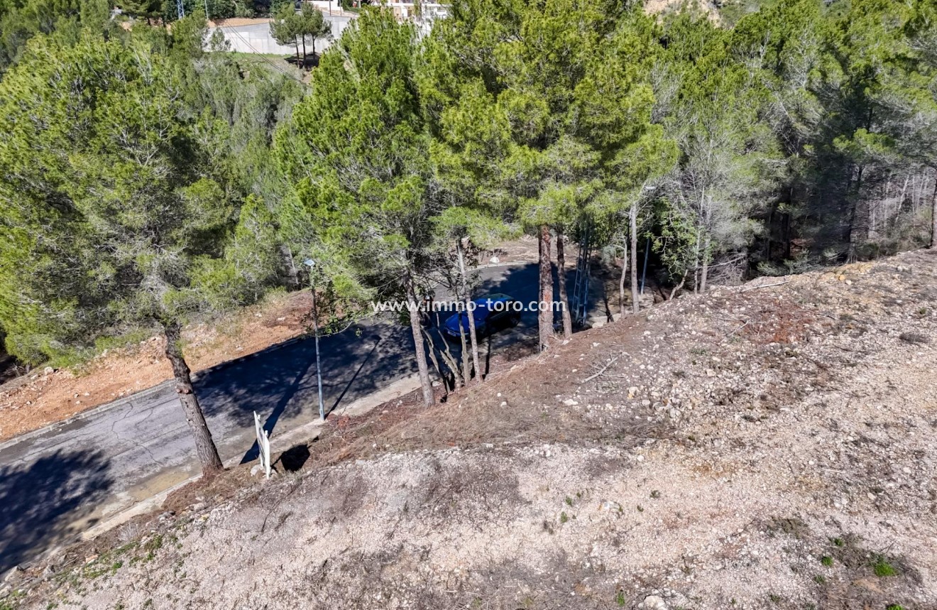 Resale - Plot - Callosa d'en Sarrià - Santa clara