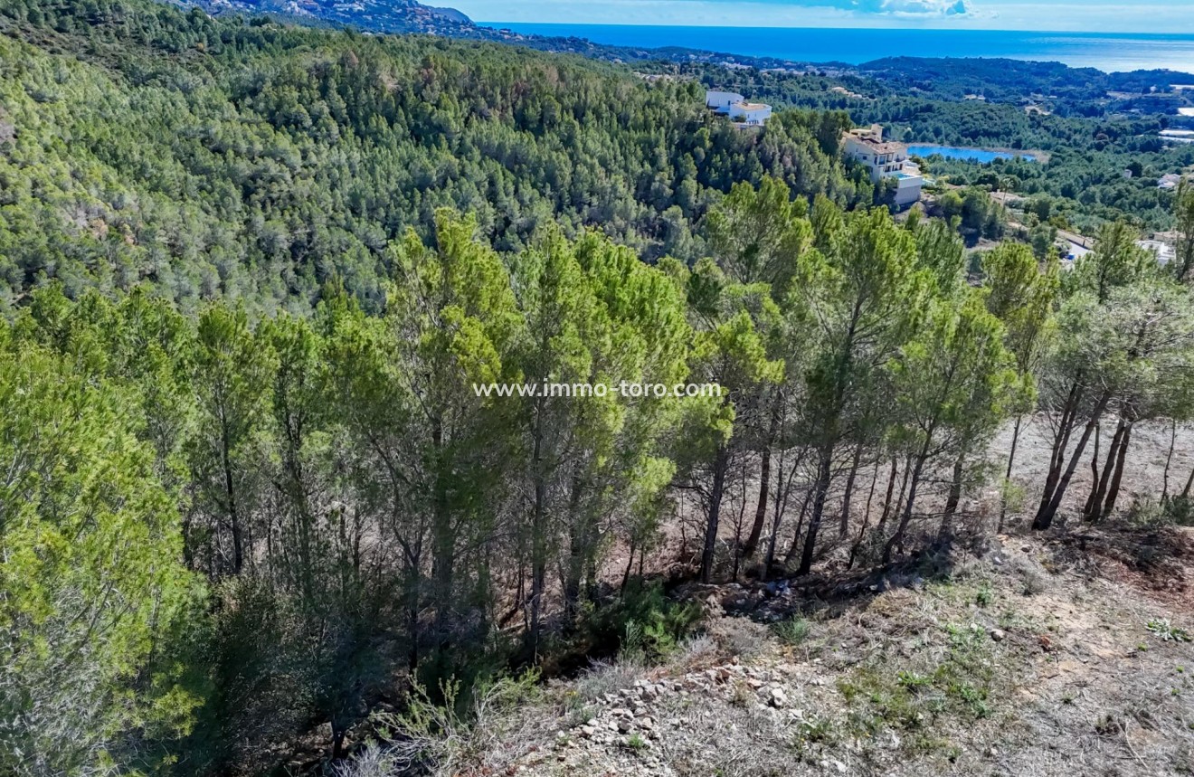 Herverkoop - Plot - Callosa d'en Sarrià - Santa clara