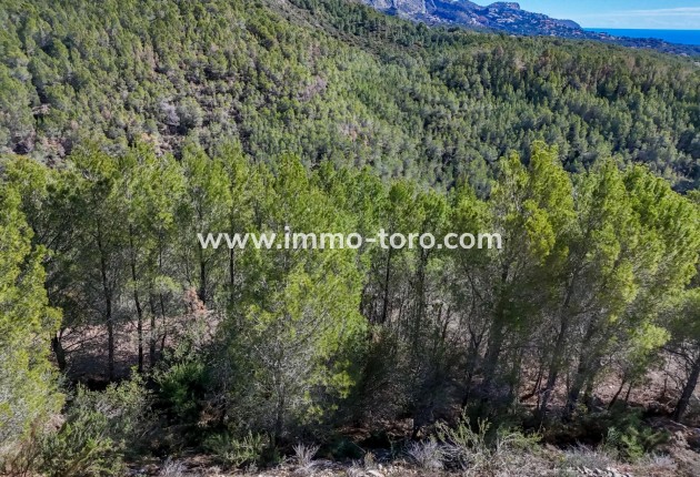 Herverkoop - Plot - Callosa d'en Sarrià - Santa clara