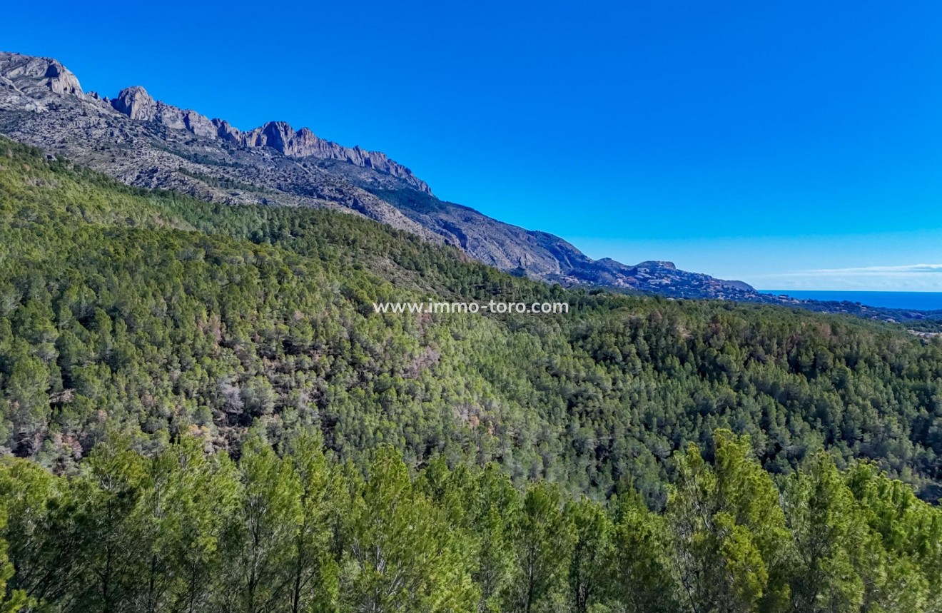 Herverkoop - Plot - Callosa d'en Sarrià - Santa clara